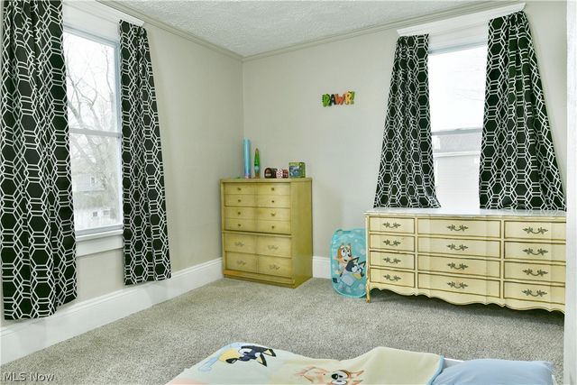 163 N Chestnut Avenue, Niles, OH 44446