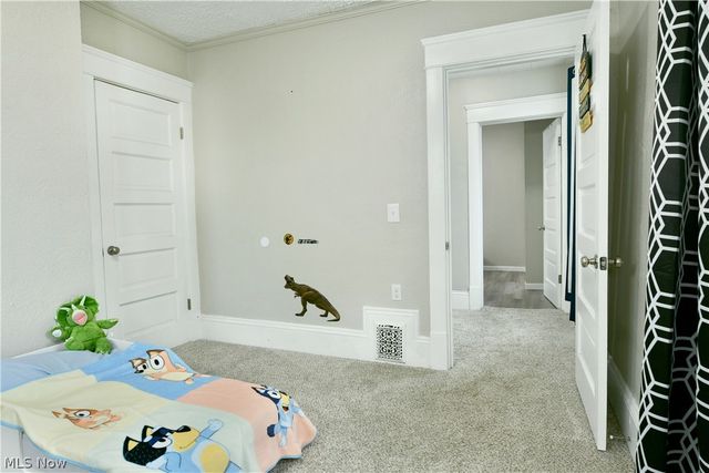 163 N Chestnut Avenue, Niles, OH 44446