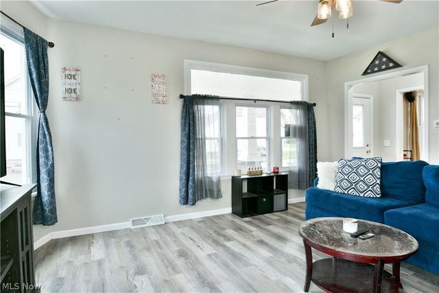 163 N Chestnut Avenue, Niles, OH 44446