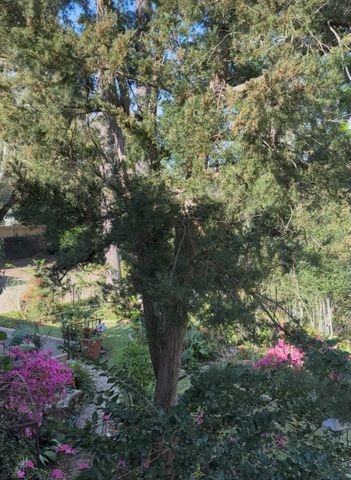 1804 Stoney Brook Drive 202, Houston, TX 77063