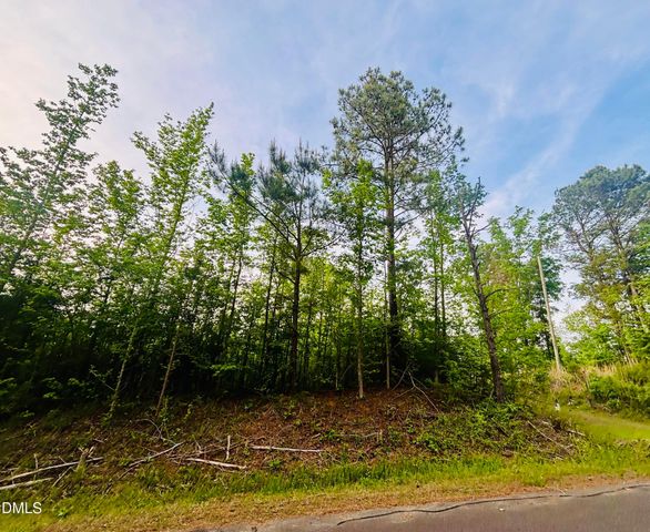 Tbd Alston Horton Service Road, Pittsboro, NC 27312