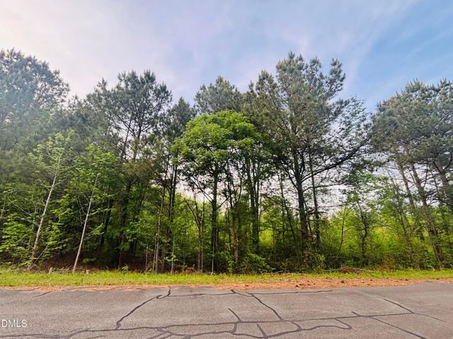 Tbd Alston Horton Service Road, Pittsboro, NC 27312