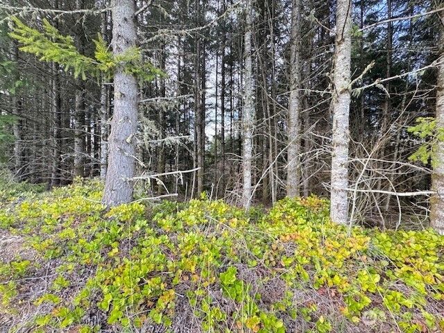 3 Lot Brown Road, Adna, WA 98532