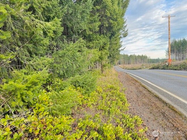 3 Lot Brown Road, Adna, WA 98532