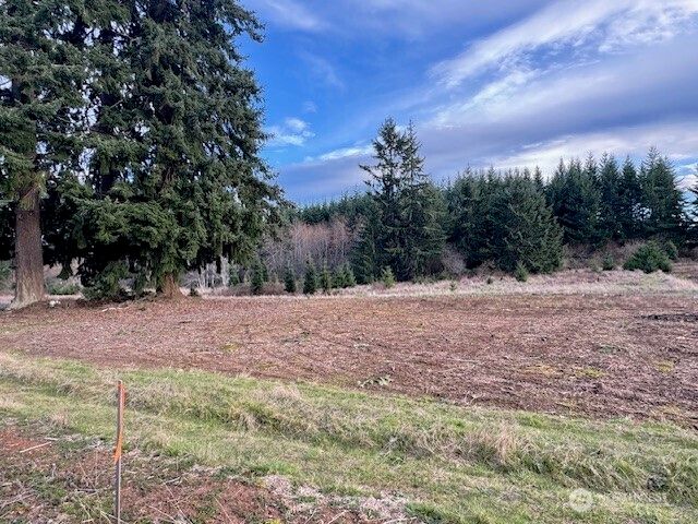 3 Lot Brown Road, Adna, WA 98532