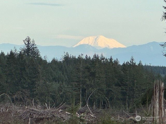 3 Lot Brown Road, Adna, WA 98532