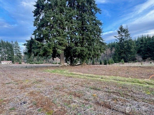 3 Lot Brown Road, Adna, WA 98532