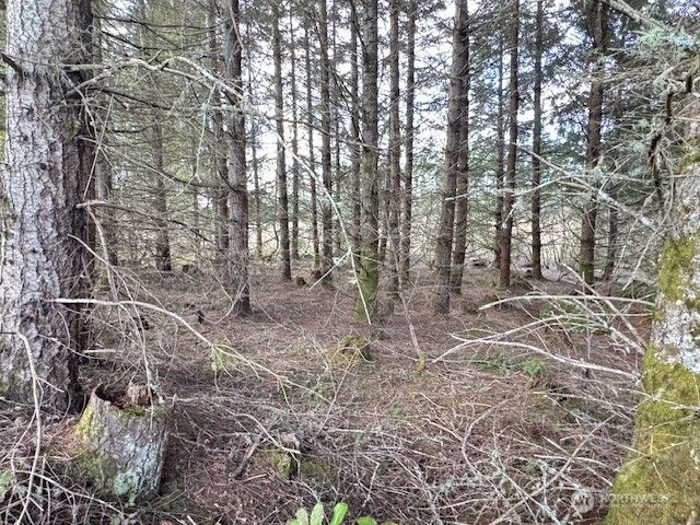 3 Lot Brown Road, Adna, WA 98532