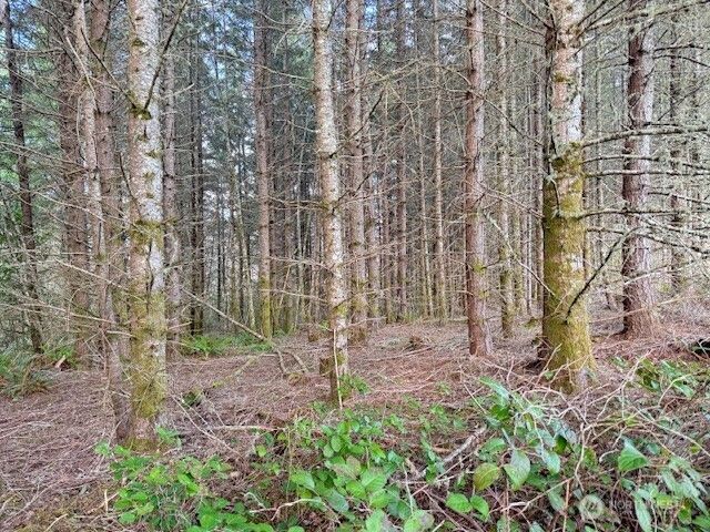 3 Lot Brown Road, Adna, WA 98532