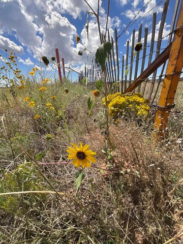 288 Entranosa Road, Edgewood, NM 87015