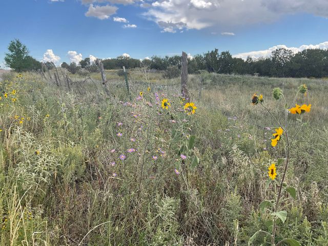 288 Entranosa Road, Edgewood, NM 87015