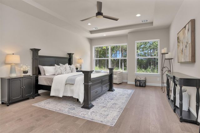 8604 Trinity Pines Court, Montgomery, TX 77316