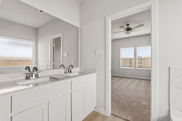 29010 Fig Vine Drive, Waller, TX 77484
