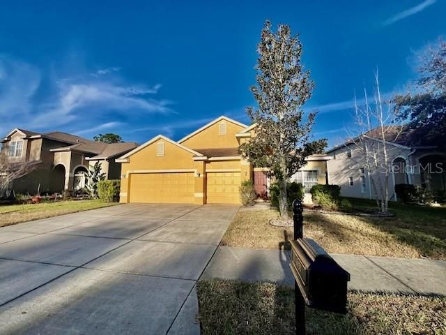 11453 BELLE HAVEN DRIVE, New Port Richey, FL 34654