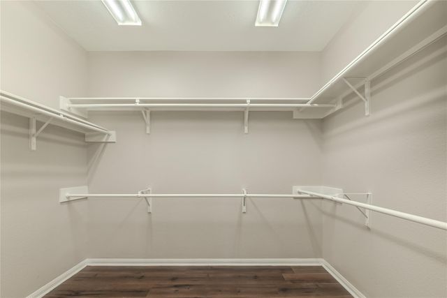 2905 Plum Lake Drive, Pearland, TX 77584