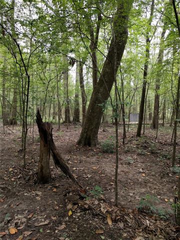 50G Jock Street, Livingston, TX 77351