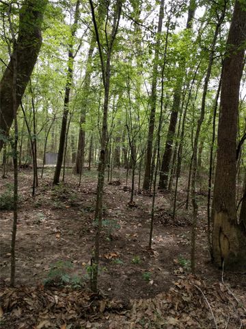 50G Jock Street, Livingston, TX 77351