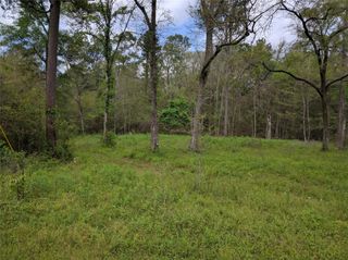 50G Jock Street, Livingston, TX 77351