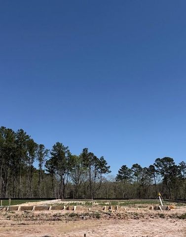 32118 Pond Pine Court, Spring, TX 77386