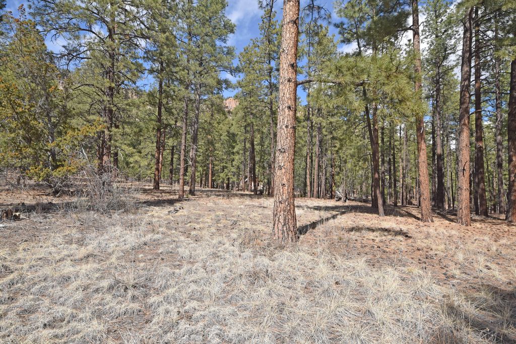 Image 1 of property listing at Lot 49 A Cool Pines, Jemez Springs, NM 87025