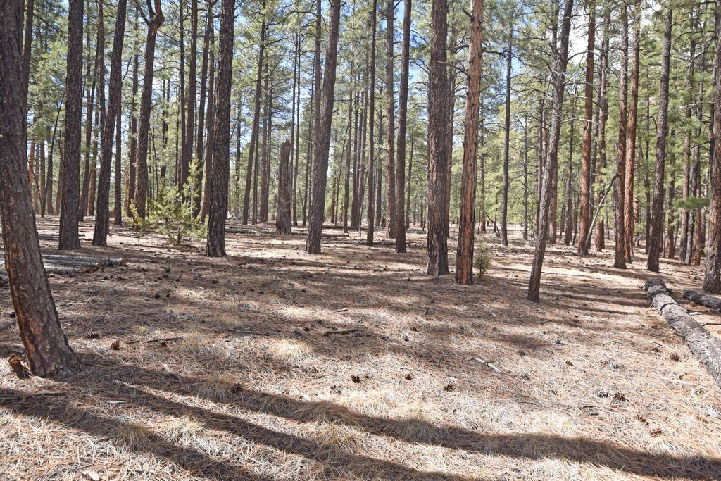 Image 10 of property listing at Lot 49 A Cool Pines, Jemez Springs, NM 87025