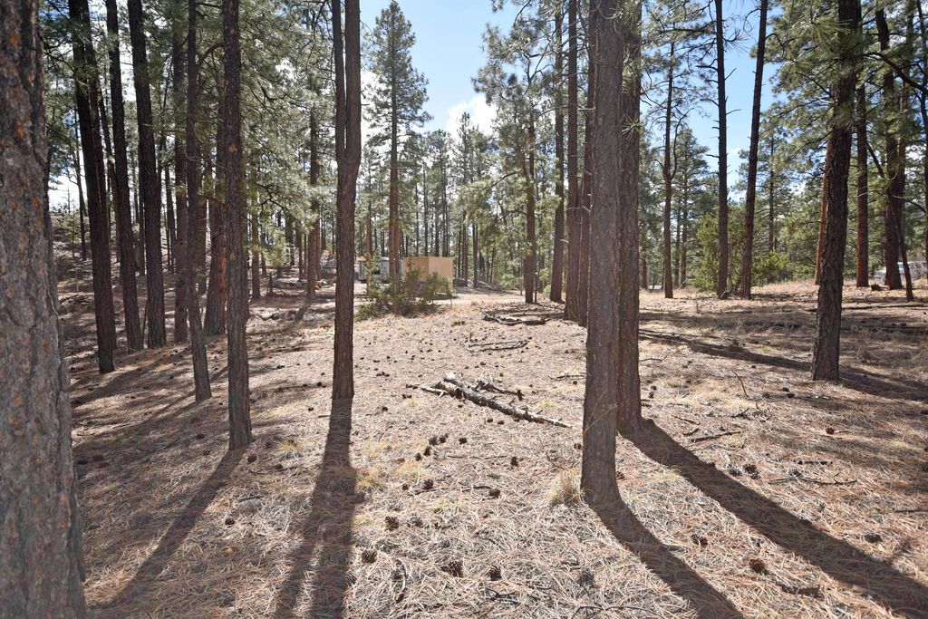 Image 12 of property listing at Lot 49 A Cool Pines, Jemez Springs, NM 87025