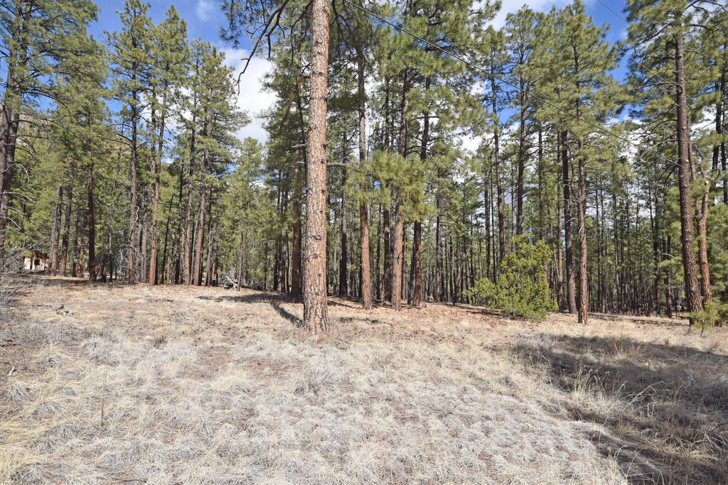 Image 13 of property listing at Lot 49 A Cool Pines, Jemez Springs, NM 87025