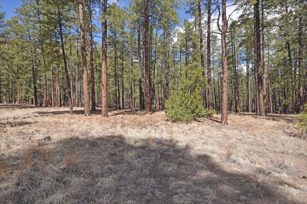 Image 14 of property listing at Lot 49 A Cool Pines, Jemez Springs, NM 87025