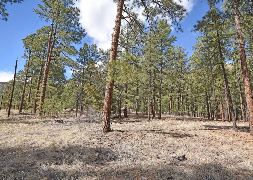 Image 15 of property listing at Lot 49 A Cool Pines, Jemez Springs, NM 87025