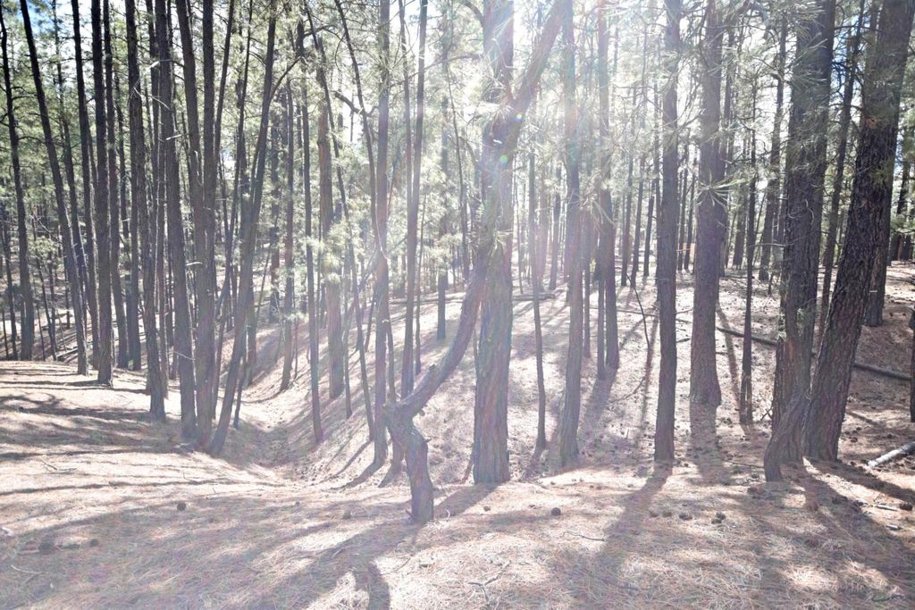 Image 16 of property listing at Lot 49 A Cool Pines, Jemez Springs, NM 87025