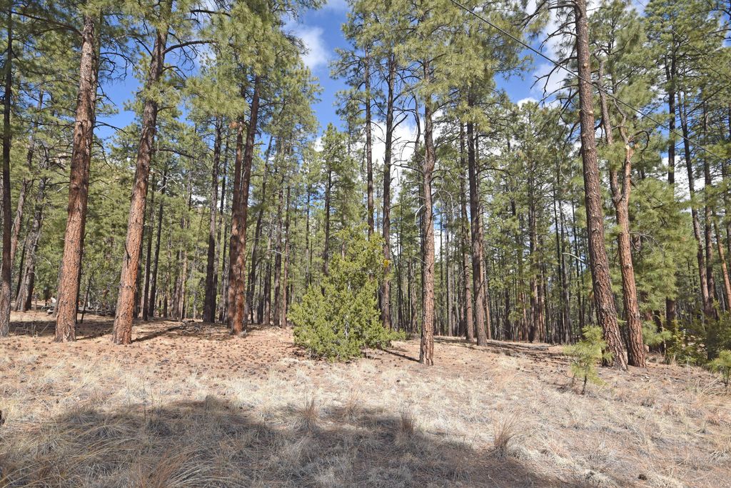 Image 17 of property listing at Lot 49 A Cool Pines, Jemez Springs, NM 87025