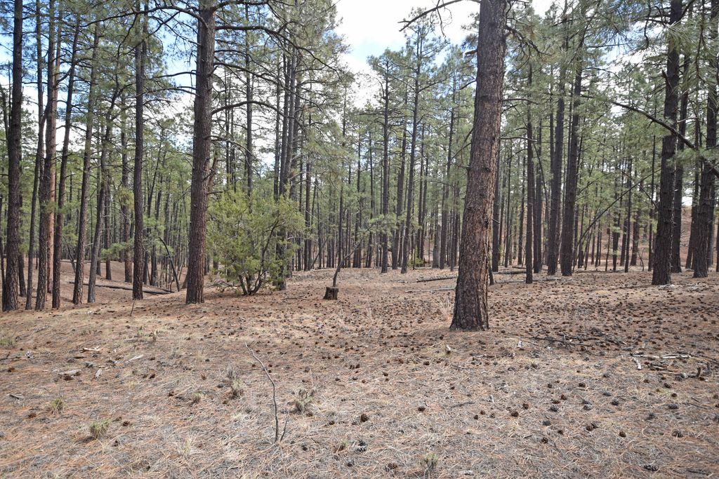 Image 2 of property listing at Lot 49 A Cool Pines, Jemez Springs, NM 87025