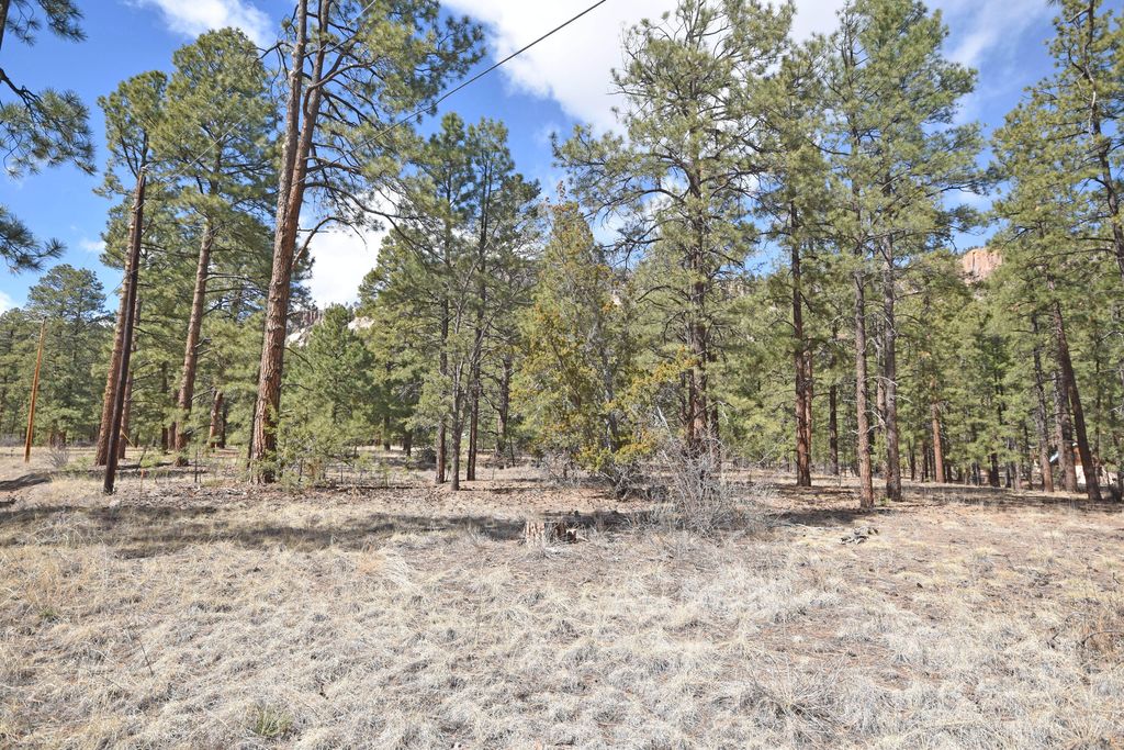 Image 3 of property listing at Lot 49 A Cool Pines, Jemez Springs, NM 87025