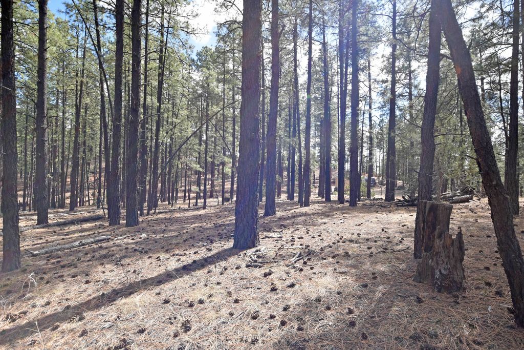 Image 4 of property listing at Lot 49 A Cool Pines, Jemez Springs, NM 87025