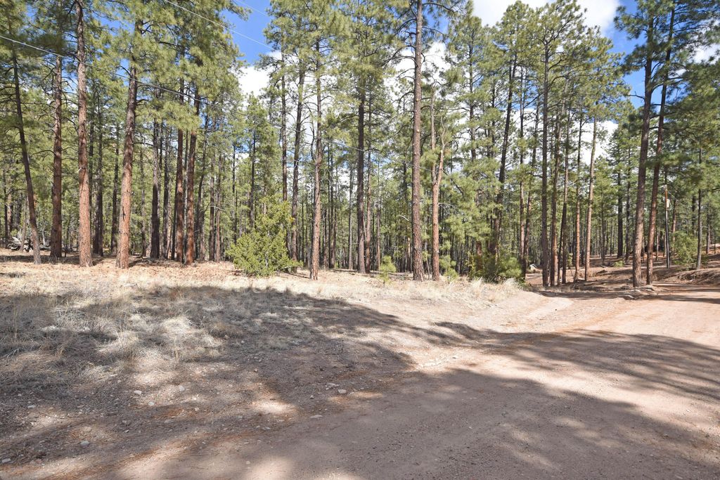 Image 5 of property listing at Lot 49 A Cool Pines, Jemez Springs, NM 87025