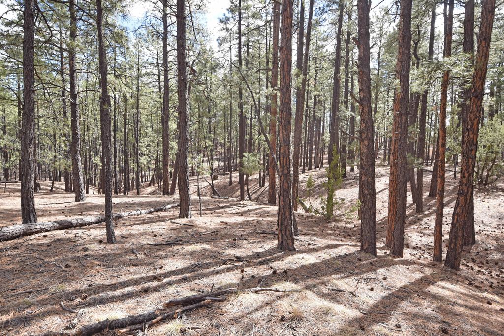 Image 7 of property listing at Lot 49 A Cool Pines, Jemez Springs, NM 87025