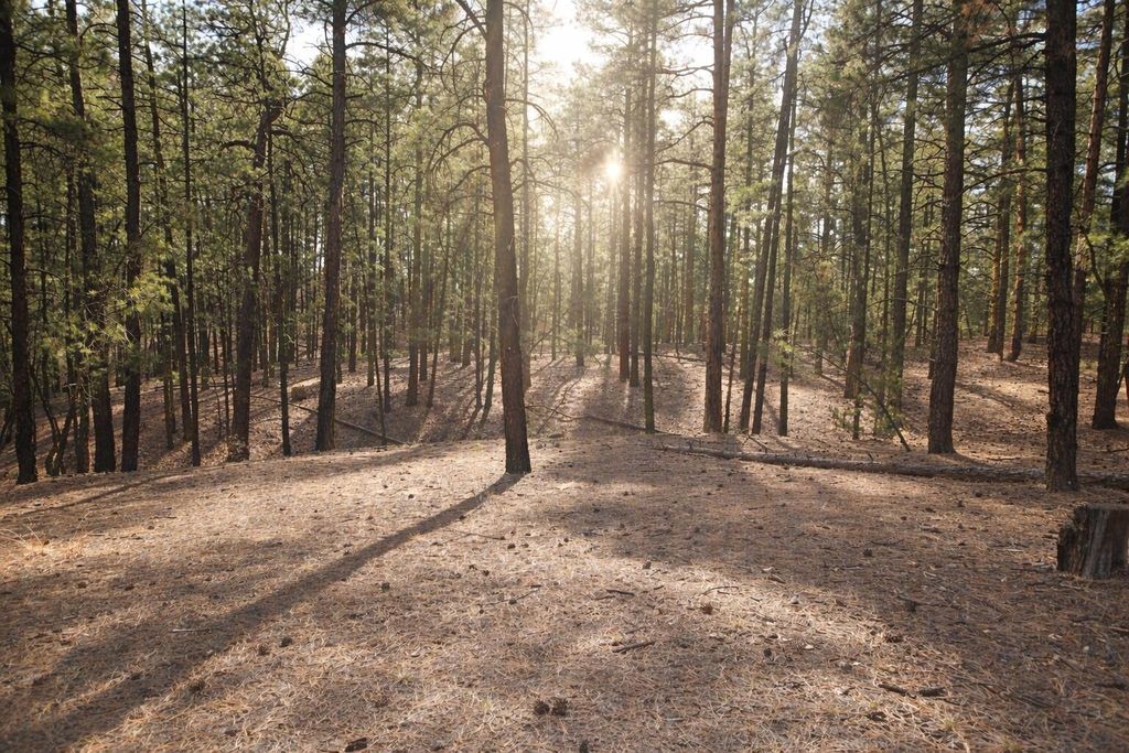 Image 8 of property listing at Lot 49 A Cool Pines, Jemez Springs, NM 87025