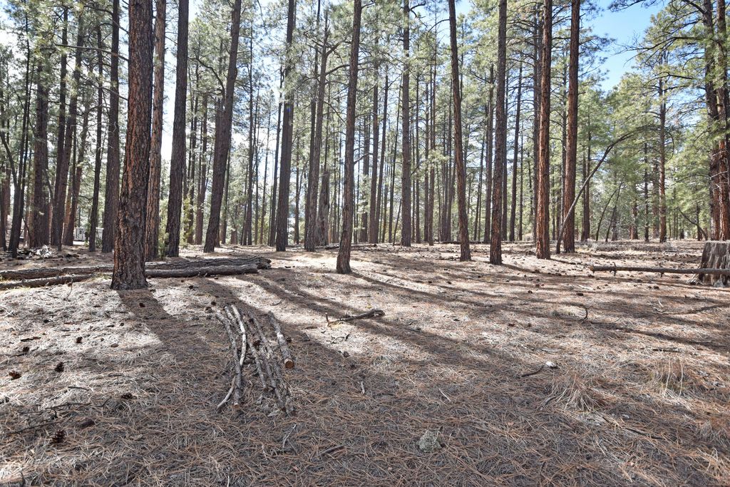 Image 9 of property listing at Lot 49 A Cool Pines, Jemez Springs, NM 87025