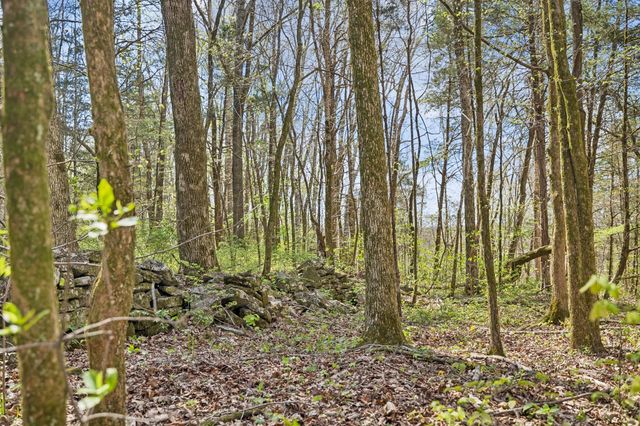 0 Turney Rd, Auburntown, TN 37016