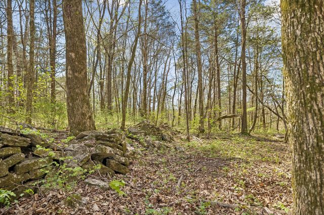0 Turney Rd, Auburntown, TN 37016