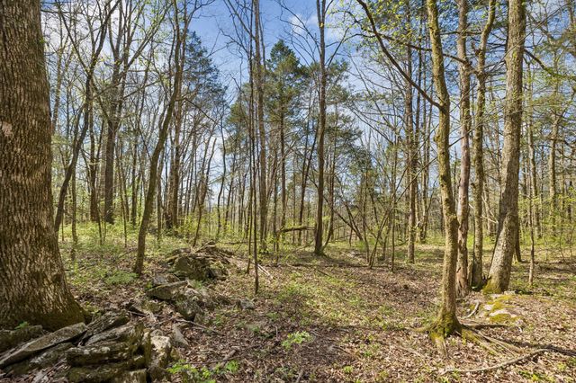 0 Turney Rd, Auburntown, TN 37016