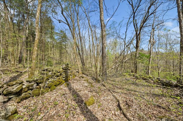 0 Turney Rd, Auburntown, TN 37016