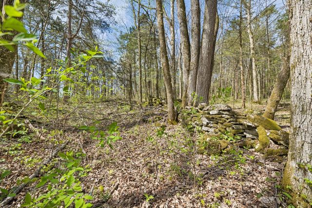 0 Turney Rd, Auburntown, TN 37016