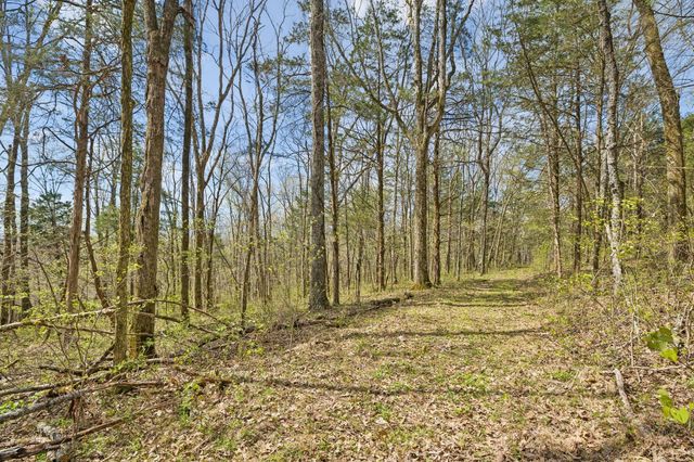 0 Turney Rd, Auburntown, TN 37016