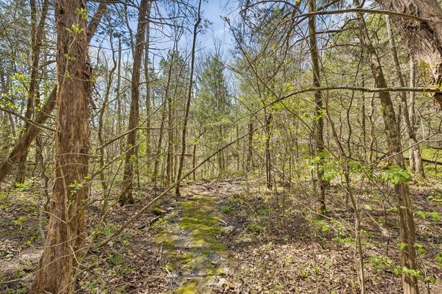 0 Turney Rd, Auburntown, TN 37016
