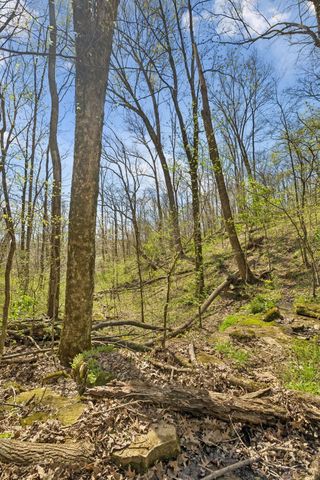 0 Turney Rd, Auburntown, TN 37016