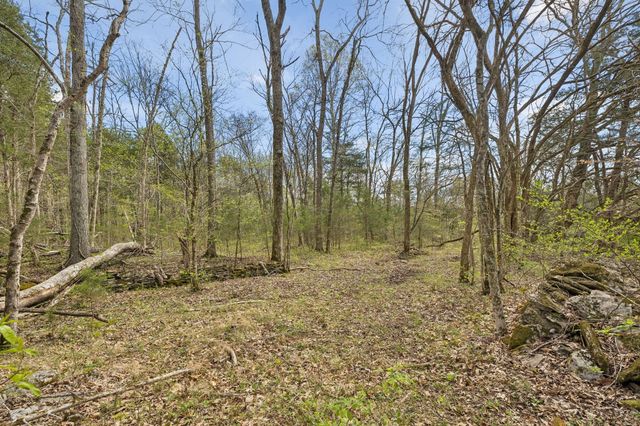0 Turney Rd, Auburntown, TN 37016