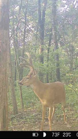 0 Turney Rd, Auburntown, TN 37016