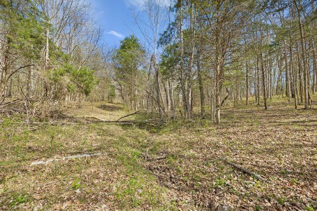 0 Turney Rd, Auburntown, TN 37016