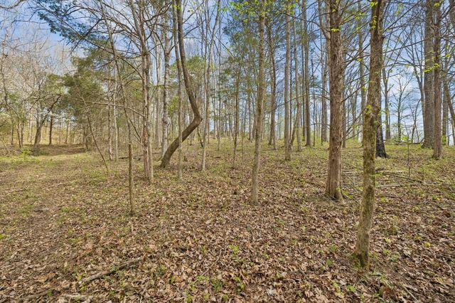 0 Turney Rd, Auburntown, TN 37016